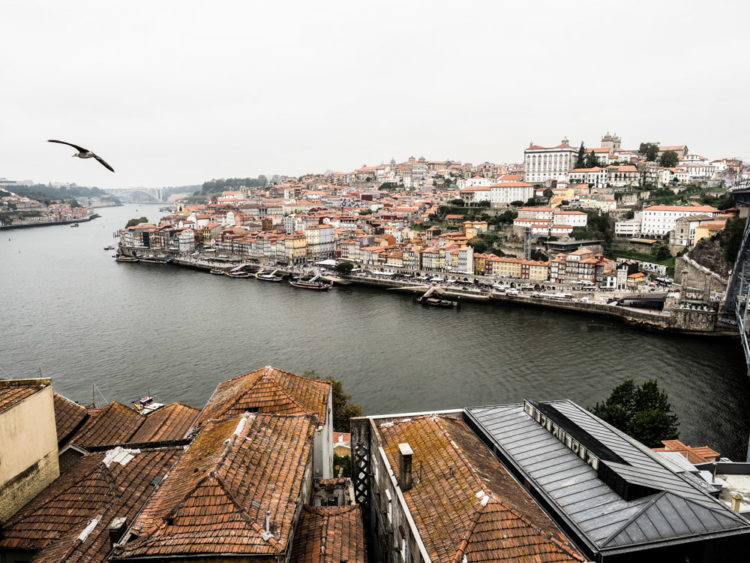 Cristiano Denanni Fotografo Reportage Porto Portogallo Douro Ribeira Fiume Gabbiano