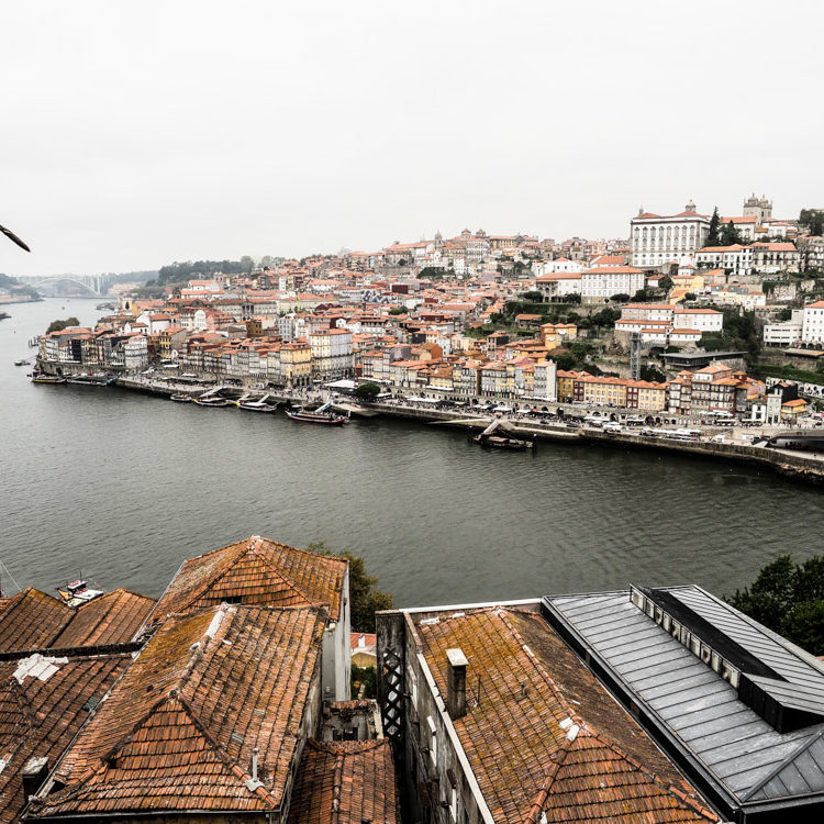 Cristiano Denanni Fotografo Reportage Porto Portogallo Douro Ribeira Fiume Gabbiano