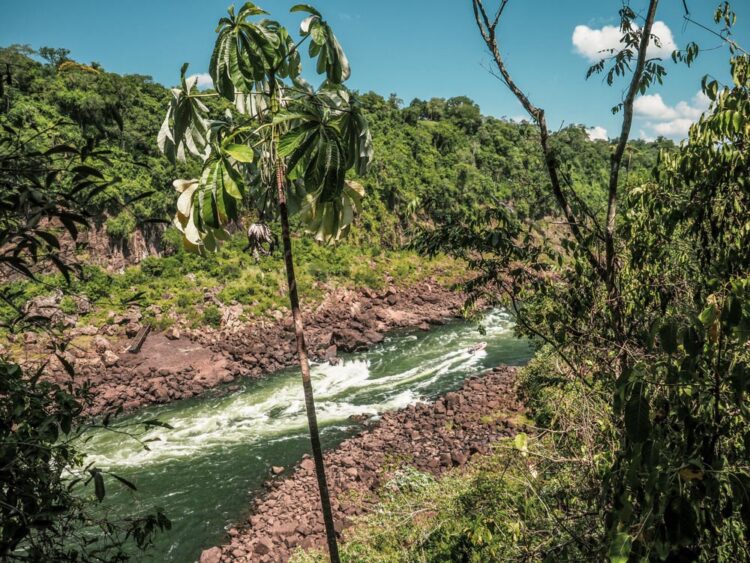 Iguazù Argentina Brasile Paraguay Foresta amazzonica