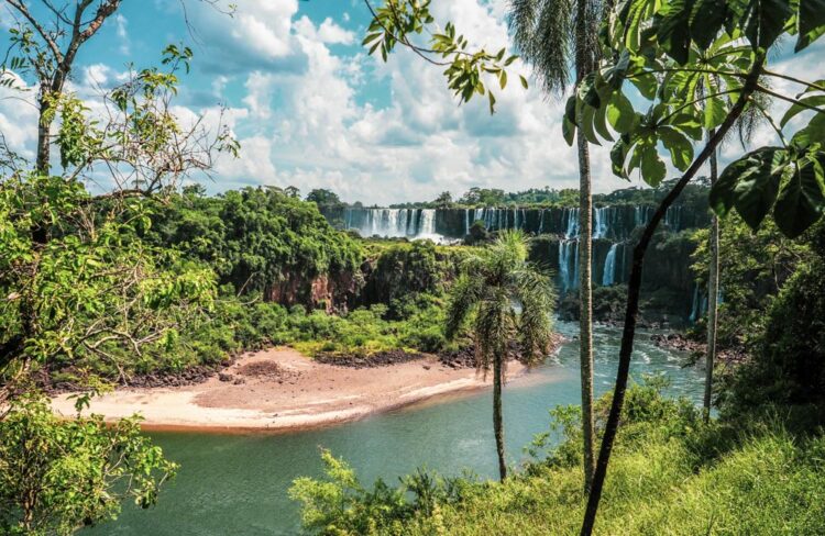 Cataratas de Iguazù Argentina Brasile Paraguay Vegetazione a Misiones