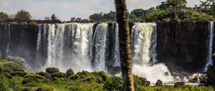 Cataratas de Iguazù Argentina Brasile Paraguay Tra la vegetazione