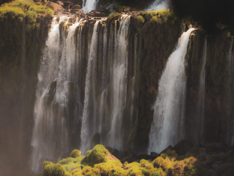 Iguazù Argentina Brasile Paraguay Luci e ombre fra la vegetazione
