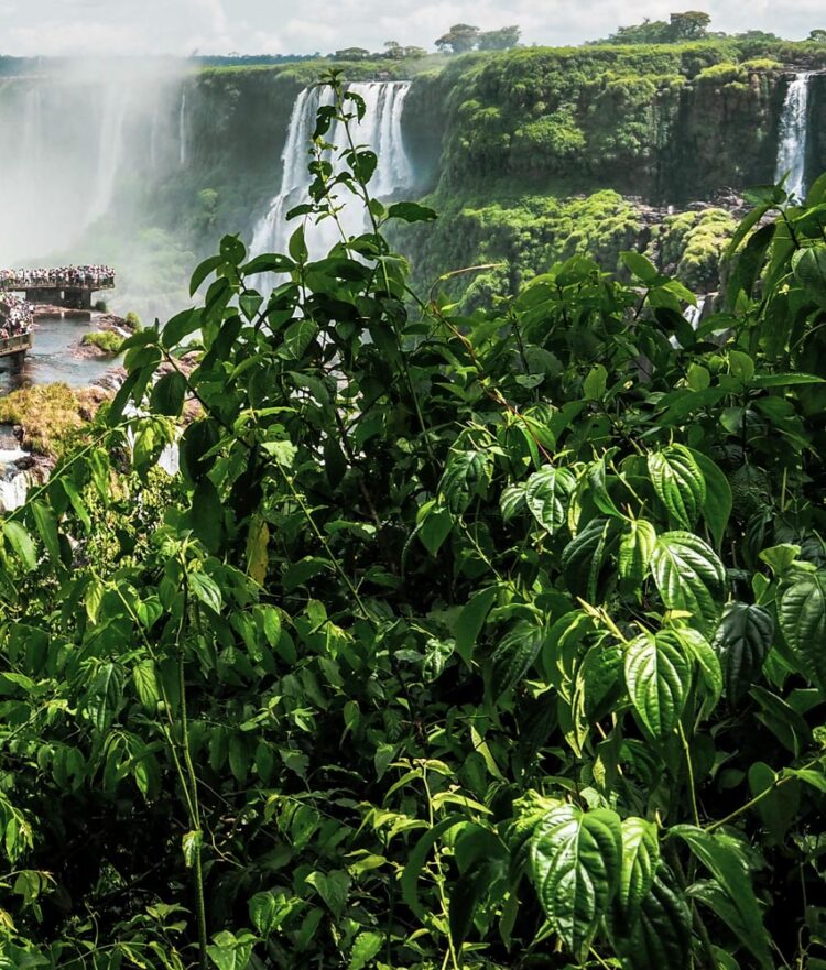 Cataratas de Iguazù Argentina Brasile Paraguay Misiones