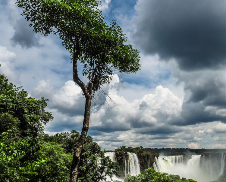 Cascate Iguazù Argentina Brasile Paraguay Amazzonia