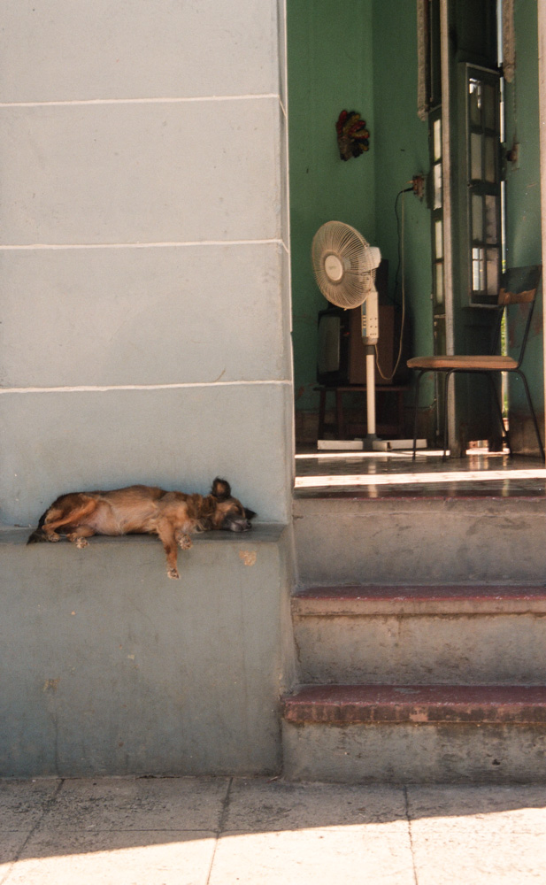 Reportage di viaggio Cuba Trinidad cane che rinfresca all'ombra